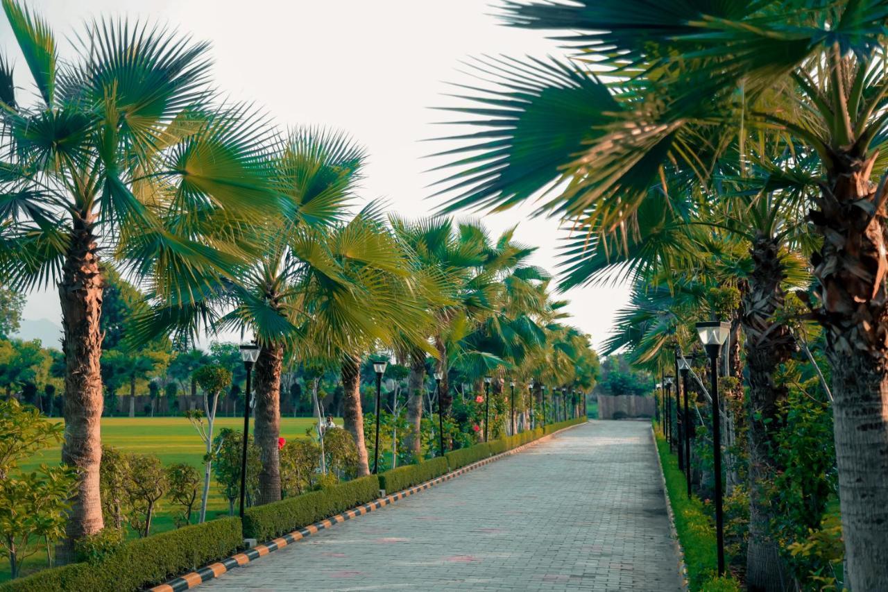 Pride Resort & Convention Center Ranakpur Near Ranakpur Dam Sadri Exterior photo